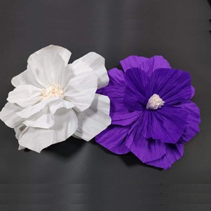 Biodegradable और पर्यावरण के अनुकूल राख बॉक्स के लिए biodegradable के साथ दिल के आकार का कलश बॉक्स फूल पानी दफन - Product Image 4