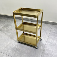 Chariot de Salon Haut de Gamme en Métal Doré à 3 Niveaux avec Plateau Anti-déversement, Chariot Roulant pour Outils de Beauté pour Salon de Coiffure, Spa, Onglerie et Studio de Cils