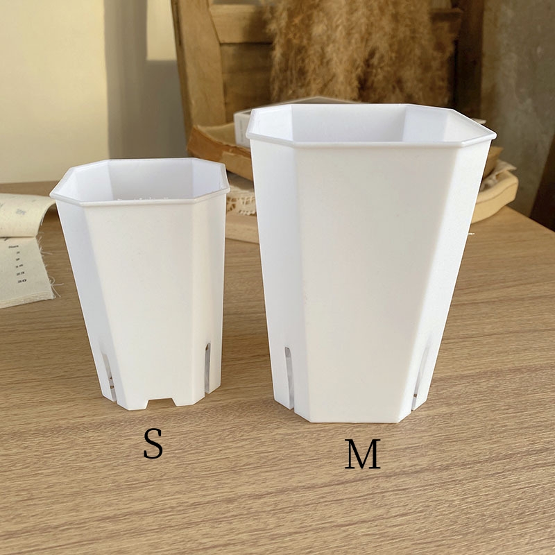 7 M White Only the pot