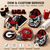 Patch Bordir Kustom Logo Olahraga Perguruan Tinggi, Patch Setrika & Jahit, Badge Grosir OEM