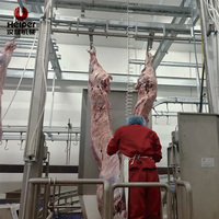 Línea de Sacrificio de Ganado con Control Inteligente Automático/Semi-Automático, Maquinaria Comercial para Procesamiento de Carne de Res, Motor y Bomba