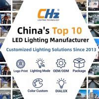Lampadaire LED CHZ IP66 en alliage d'aluminium résistant aux pulvérisations de sel avec boîtier thermolaqué, classe II de sécurité pour usage routier