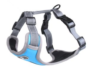 Arnés para Mascotas Yong Chi de Fácil Control, Ajustable, Talla S, Cuello de 27-33 cm, Pecho de 39-48 cm - Product Image 3