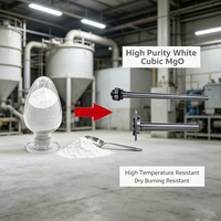 Poudre d'oxyde de magnésium de qualité électrique MgO pour éléments chauffants, matériau d'isolation électrique haute température, fabricant