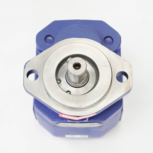 Pièce de rechange pour réparation après-vente, pompe à engrenages hydraulique en fonte revêtue de bleu, résistante à l'abrasion, pompe à huile haute pression - Product Image 2