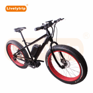 26 inch 1000 W high power brushless motor Gearless electric mountain <span class=keywords><strong>bike</strong></span> with CE - Product Image 1