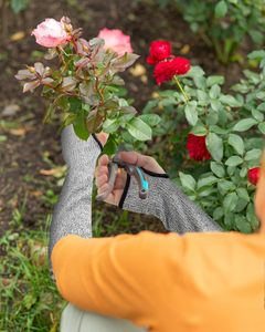 Manches anti-coupure avec trou pour le pouce, protection des bras, résistantes aux morsures, pour peaux fines, anti-abrasion, protection des bras pour le jardin et la cuisine - Product Image 5