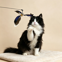 Jouet pour chat en forme de moulin à vent, écologique, résistant aux morsures, avec plumes de canard, pour mouvement interactif des animaux de compagnie