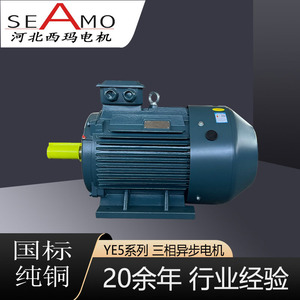 Motor Asíncrono Trifásico Hebei Xima Ye5 de 4 Polos, 2.2-400kw, Totalmente Cerrado, para Equipos Mecánicos - Product Image 4