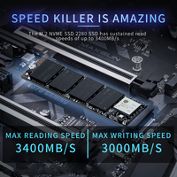 LEVOFAST Fabricants Vente Directe en Gros SSD M.2 NVME Gen4.0x4 NVMe PCIe 4.0 pour PS5