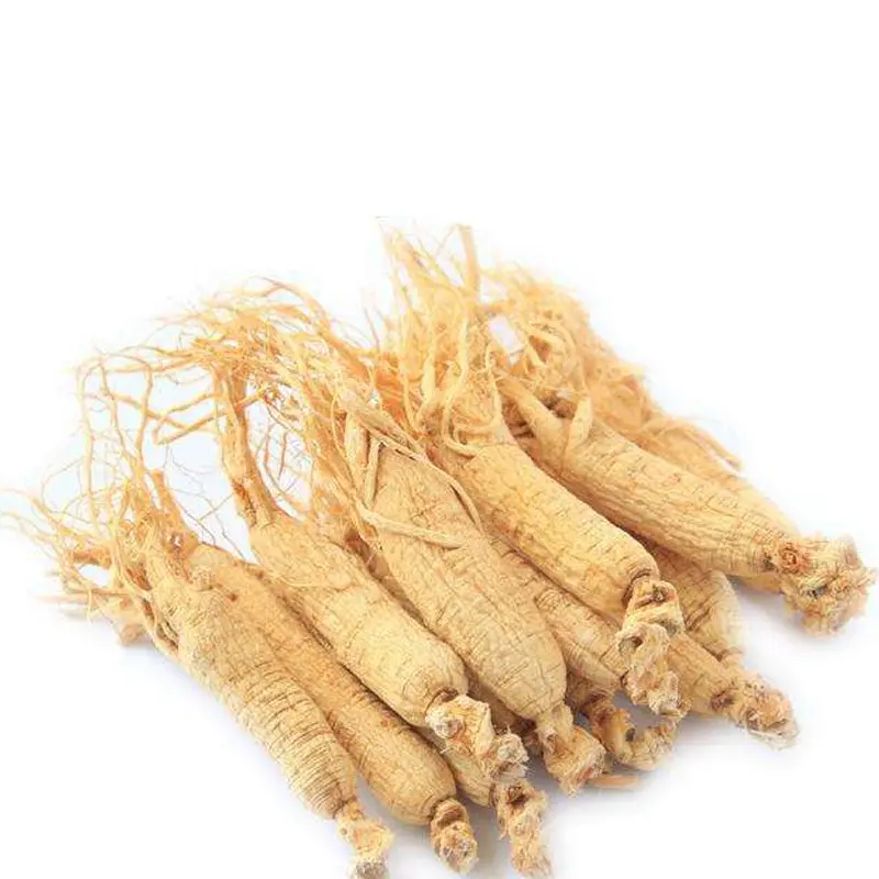 Venda quente panax com ginseng peptídeo Chinês natural ginseng raiz anti rugas essência ginseng