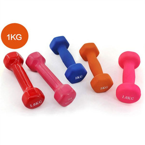 <span class=keywords><strong>Haltères</strong></span> de fitness de petite taille en gros, 1 kg, <span class=keywords><strong>haltères</strong></span> de yoga pour femmes - Product Image 1