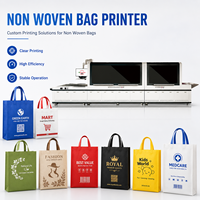Impresora de Alta Precisión para Bolsas y Etiquetas No Tejidas, Automática, con Tinta UV, Certificación CE e ISO, para la Industria del Embalaje de Regalos y Telas