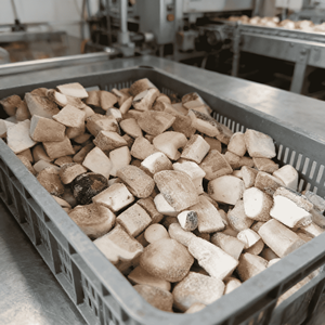 <span class=keywords><strong>Champignons</strong></span> surgelés cuits de qualité supérieure, sautés au curry, plats prêts à consommer, cuisine saine, applications variées, prix d'exportation disponible, HP Valia - Product Image 6