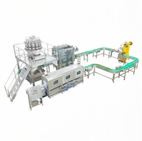 Automatische fruitconserven productielijn, verwerkings- en verpakkingsmachines voor gele perziken, ananas, aardbeien, sinaasappels in blik