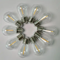 3V 12V 110V 220V 1W 2W 4W incassable éclairage de vacances S14 extérieur guirlandes lumineuses Edison Led ampoules