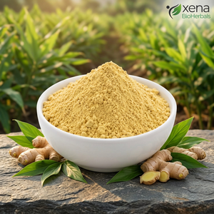 Fabricant d'extrait de gingembre biologique en poudre, fournisseur en gros d'extrait de gingembre naturel en vrac, OEM - Product Image 1