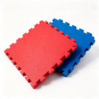 Tapete de Espuma EVA 100x100cm Antideslizante, Grueso, Impermeable, para Gimnasio, Absorbente de Impactos, Encajable, Venta al Por Mayor de Fábrica