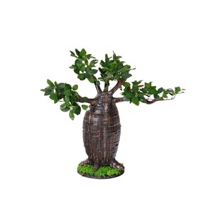 Hot Bán Longstar Màu Xanh Lá Cây <span class=keywords><strong>Baobab</strong></span> Mô Phỏng Cây Lớn Nhựa Nhân Tạo Nhà Máy Cảnh Quan Trong Nhà Ngoài Trời Lễ Hội Trang Trí - Product Image 1