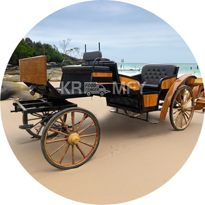 Carruaje de Lujo para Recorridos Turísticos con Barra de Luces, Carruaje Eléctrico sin Caballos, Carroza, Carro de Caballos, Gran Venta - Product Image 6