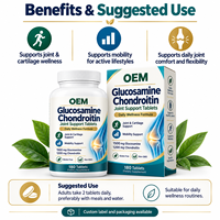 Comprimés de Glucosamine et de MSM pour le soutien articulaire, Compléments alimentaires en vrac, Comprimés de Glucosamine et Chondroïtine pour le bien-être, Marque privée