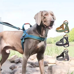 Arnés de moda para perro, conjunto de arnés para mascotas, acolchado, de nailon transpirable, reflectante, con correa de pecho tipo silla y collar antiescape con asa. - Product Image 1