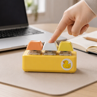 Ensemble de touches de clavier sur le thème du canard, son et lumière, porte-clés fantaisie, touches de clavier colorées, cadeau promotionnel