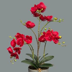 Planta Artificial de Orquídea Mariposa en Maceta para Decoración de Sala de Estar, <span class=keywords><strong>Hotel</strong></span>, Mueble de TV, Orquídea Artificial Impresa en 3D en China - Product Image 2