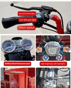 Triciclo de Carga con Motor de Gasolina de 300cc para Adultos, con Gran Capacidad de Subida a 20 Grados - Product Image 6