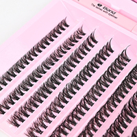 Kit de cils en grappe DIY 30D-100D, courbure D, longueurs mixtes, cils individuels PBT, pince à cils, étiquette privée OEM, vente en gros