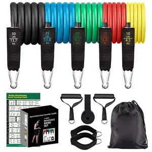 Resistance Band Set With Handles Portable Toning Tubes With Door Anchor Foam Handles.Resistance Tube Kit With Bag