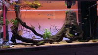 Luz LED de Fondo para Acuario de Interior, Material PMMA, LGP-2021, Tamaño Personalizable, No Impermeable, Grado A