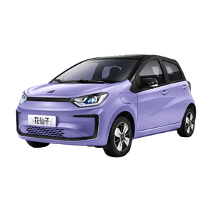 2024 Sol e10x điện SUV cổ xe tốc độ cao có thể sạc lại EV tự động hộp số 4WD ổ đĩa tay trái bồ công anh Hoa Cổ tích thiết kế - Product Image 1