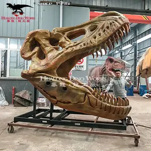 2023 Parque Jurásico Animatronic dinosaurio fiesta decorativa fibra de vidrio dinosaurio fósil molde dinosaurio cabeza fósil para la venta
