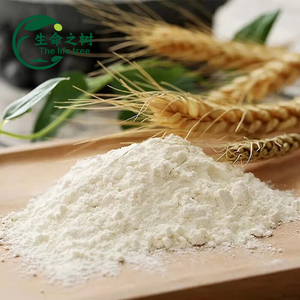 Chất Lượng Cao 25Kg Số Lượng Lớn Bao Bì Toàn Bộ Lúa Mì Bột Lúa Mì Tinh Bột Chất Làm Đặc Cho Xuất Khẩu - Product Image 5