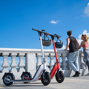 En Stock en la UE y EE. UU., Envío Gratis, Vevay Q11, Batería Extraíble de 36 V y 10.4 Ah, 250 W, 25 km/h, Scooter de 10 Pulgadas con Doble Suspensión, Scooter Q11 - Product Image 6