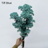 Fleurs de millet séchées et préservées, petites décorations florales naturelles pour la décoration de mariage