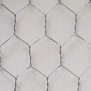 Rete metallica esagonale galvanizzata della rete metallica del ferro del pollo all'ingrosso della fabbrica 6FT