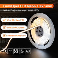 Bande LED néon blanche professionnelle 24V, découpable, indice de protection IP67, télécommande, garantie 5 ans, haute qualité, vente en gros