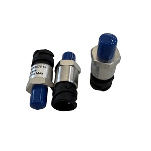 Kit de service de vanne thermostatique Manny 1089057554, état neuf, matériaux en métal et aluminium, pièce de compresseur d'occasion, garantie 1 an - Product Image 1