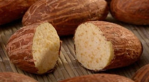 Cola Amarga 100% Natural de Alta Calidad AGRIMAX LLC, Original, en Cantidad a Granel, Grado Superior, en Venta a Precios Bajos - Product Image 4