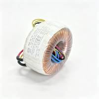 Transformateur toroïdal entièrement en cuivre 1000W 1000VA 50/60Hz, entrée 110V-240V, double sortie 45V 0-45V pour systèmes audio professionnels