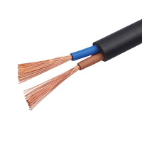 Kabel RVV Fleksibel Multi Konduktor 5 Inti Tembaga PVC Berkualitas Tinggi untuk Penggunaan Daya Industri 0.75mm 2.5mm 4mm 6mm