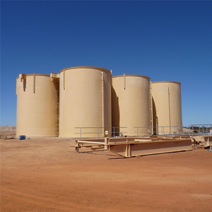 Planta CIL <span class=keywords><strong>de</strong></span> Oro Completa <span class=keywords><strong>de</strong></span> Pequeña Capacidad (50 TPD) para una Lixiviación y Recuperación Eficientes - Product Image 5