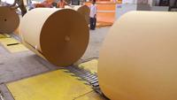 Machine de fabrication de Carton ondulé Kraft de recyclage de papier