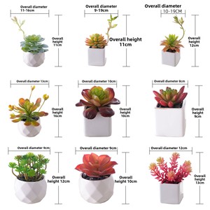 Planta Suculenta Artificial de Plástico en Maceta, Decoración para Bodas, Artesanía, Venta al por Mayor, Estilo INS, Comercio Transfronterizo - Product Image 4