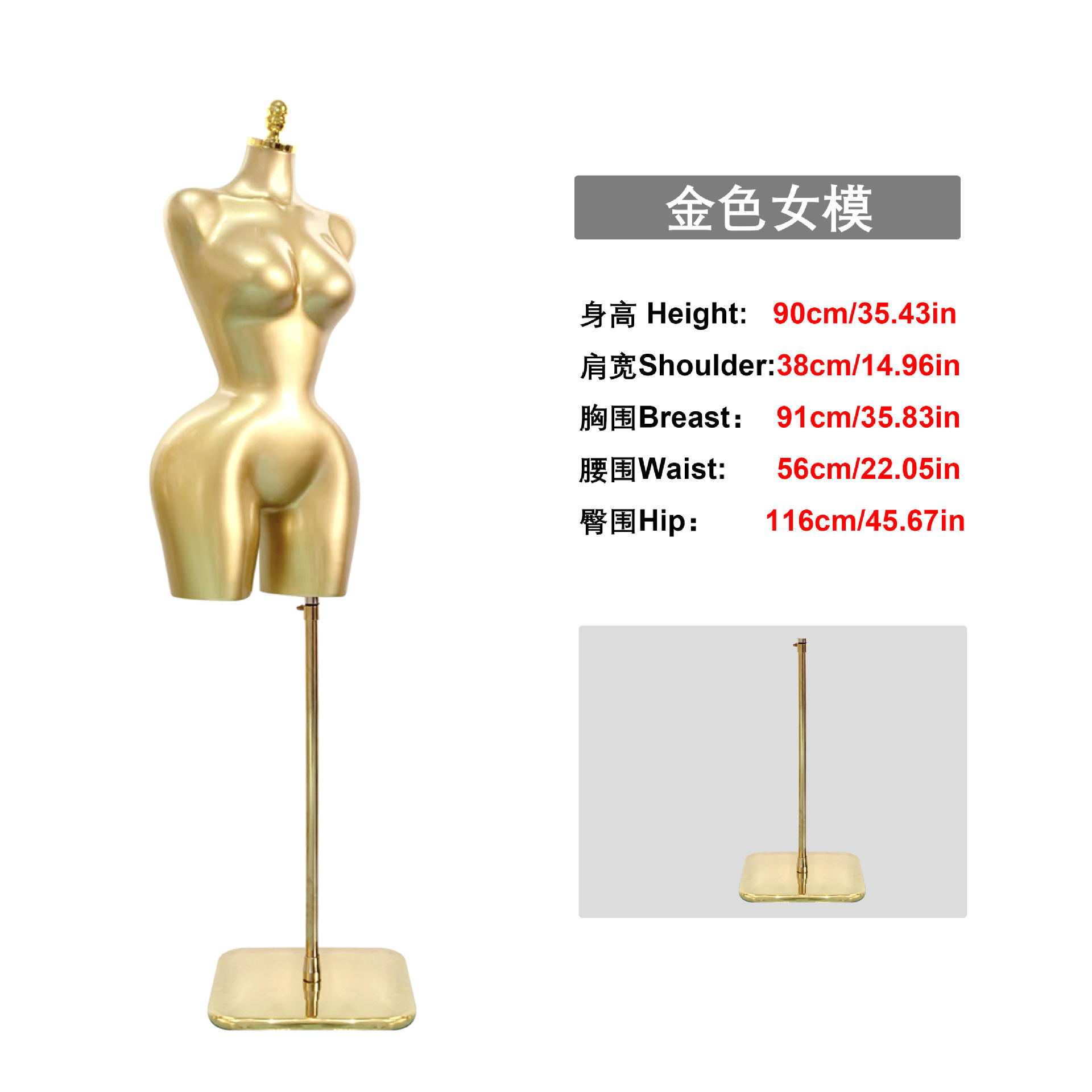 A gold half-body model