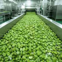 Fèves entières IQF certifiées de haute qualité, légumes entiers, prix compétitif, quantité en vrac, vente en gros