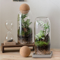 Pot de culture en verre, terrarium avec couvercle en liège sphérique pour plantes aquatiques, succulentes, décoration de table intérieure