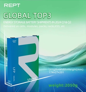 Sistema de Almacenamiento de Energía Doméstico REPT, Batería LFP100 de Larga Duración, Celdas de Grado LF100, Baterías de Iones de Litio Prismáticas de 3.2v, 6000 - Product Image 3